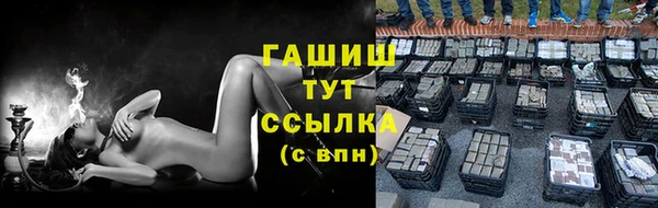 прущие грибы Бородино