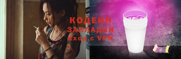 прущие грибы Бородино