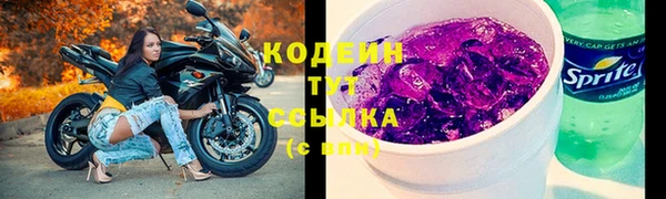прущие грибы Бородино