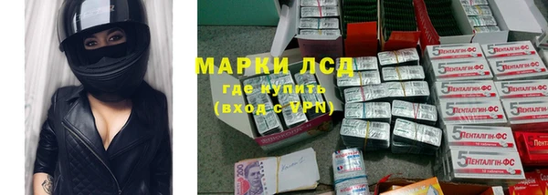 шишки Богородск